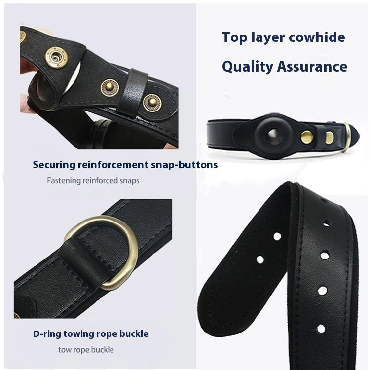 KFX-5955261 Genuine Leather Monochrome Green Pet Collar for Dogs – All Seasons, Multiple Sizes Available