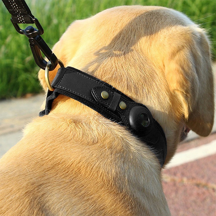 KFX-5955261 Genuine Leather Monochrome Green Pet Collar for Dogs – All Seasons, Multiple Sizes Available