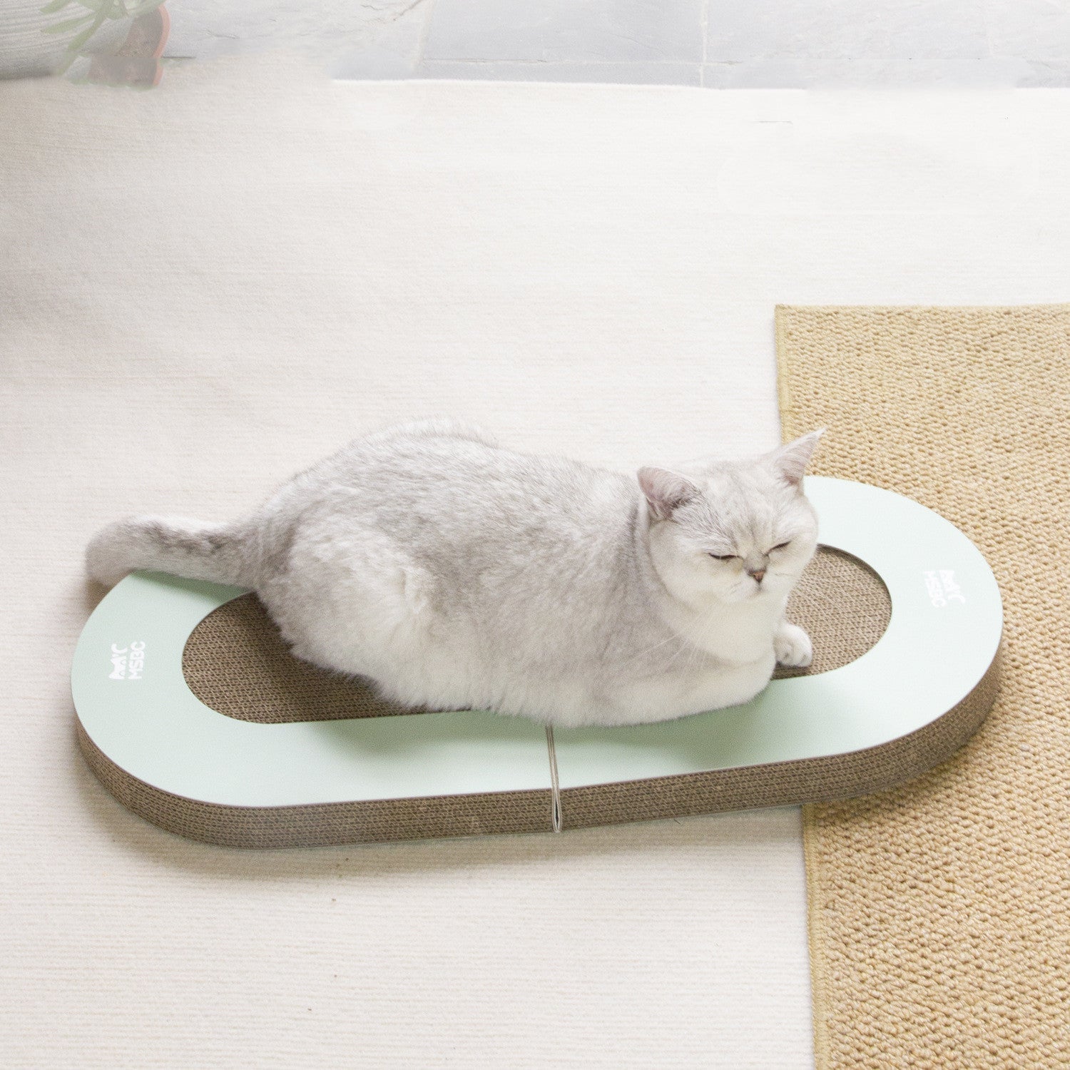 KFX-5959229 Folding Cat Scratching Plate with Ball - Corrugated Paper, Green, Japanese Style
