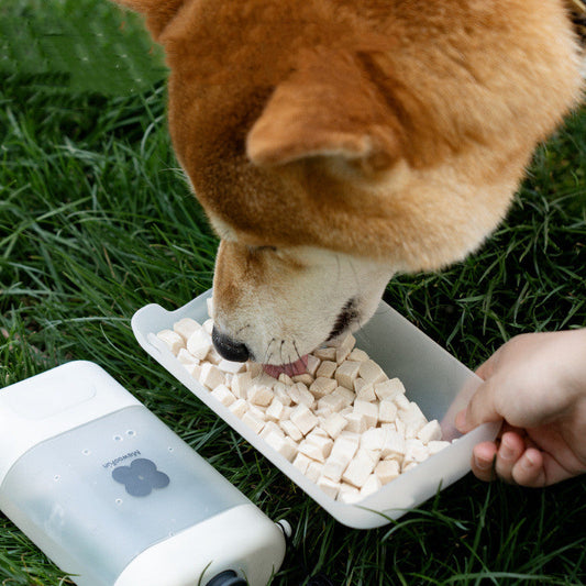 KFX-5970621 Portable Dog Travel Water Cup - 400ml Capacity, ABS+PP Material, Pink & Yellow Options