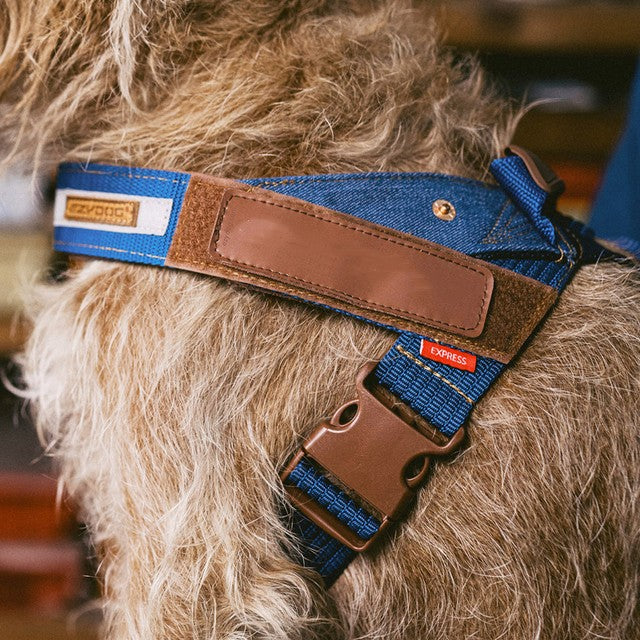 KFX-5973821 Reflective Dog Chest Strap for Night Safety - Multiple Sizes Available