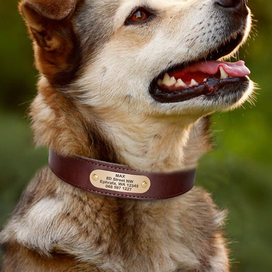 KFX-5976381 Genuine Cowhide Engraved Anti-Loss Dog Collar - Dark Brown, Multiple Sizes Available