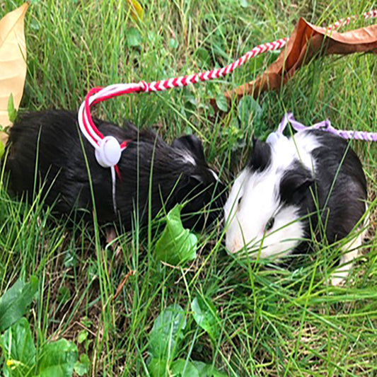 KFX-5980093 Hand Woven Nylon Hamster Pull Rope with Adjustable Chest Strap - 1.4m/2.0m Length