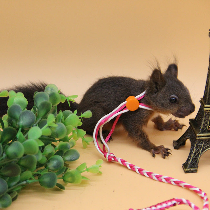 KFX-5980093 Hand Woven Nylon Hamster Pull Rope with Adjustable Chest Strap - 1.4m/2.0m Length