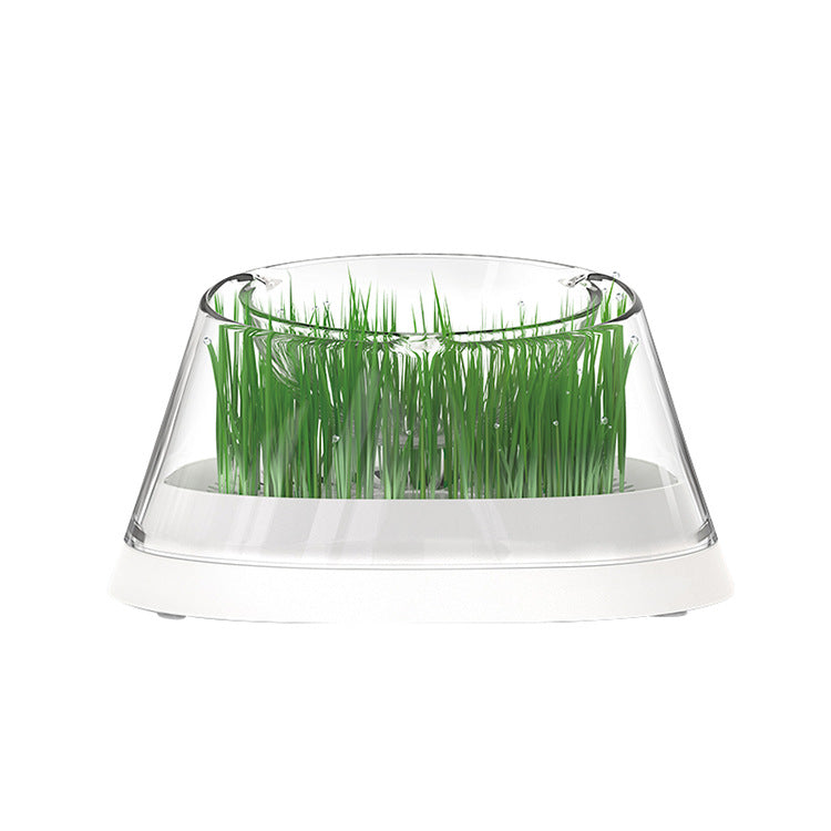 KFX-5980477 Elevated Cat Drinking Bowl with Oblique Mouth Design, Dishwasher Safe, Modern Pet Feeder in White