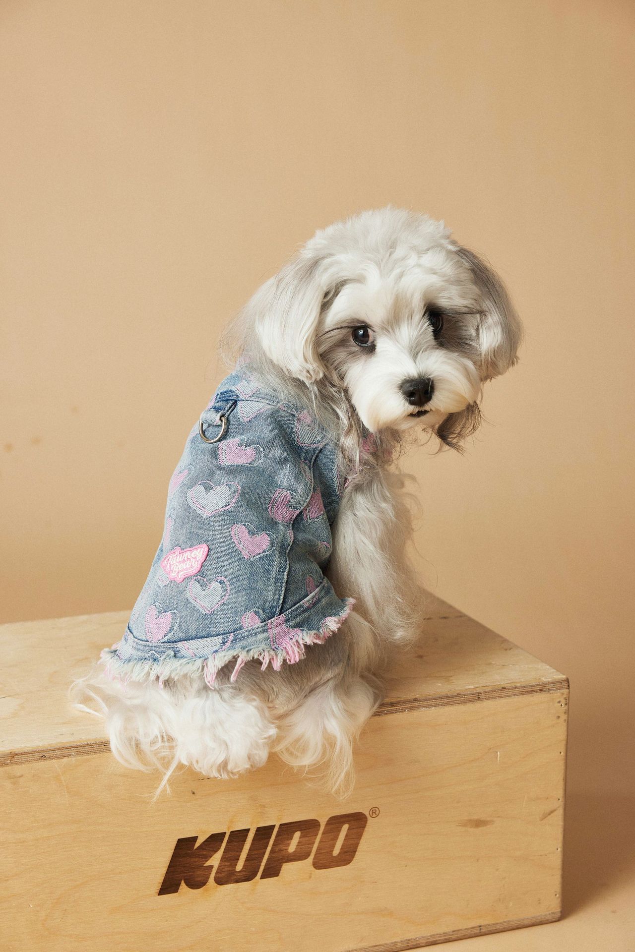 KFX-5984829 Denim Sleeveless Vest for Dogs - Distressed Casual Pet Clothing in Various Sizes