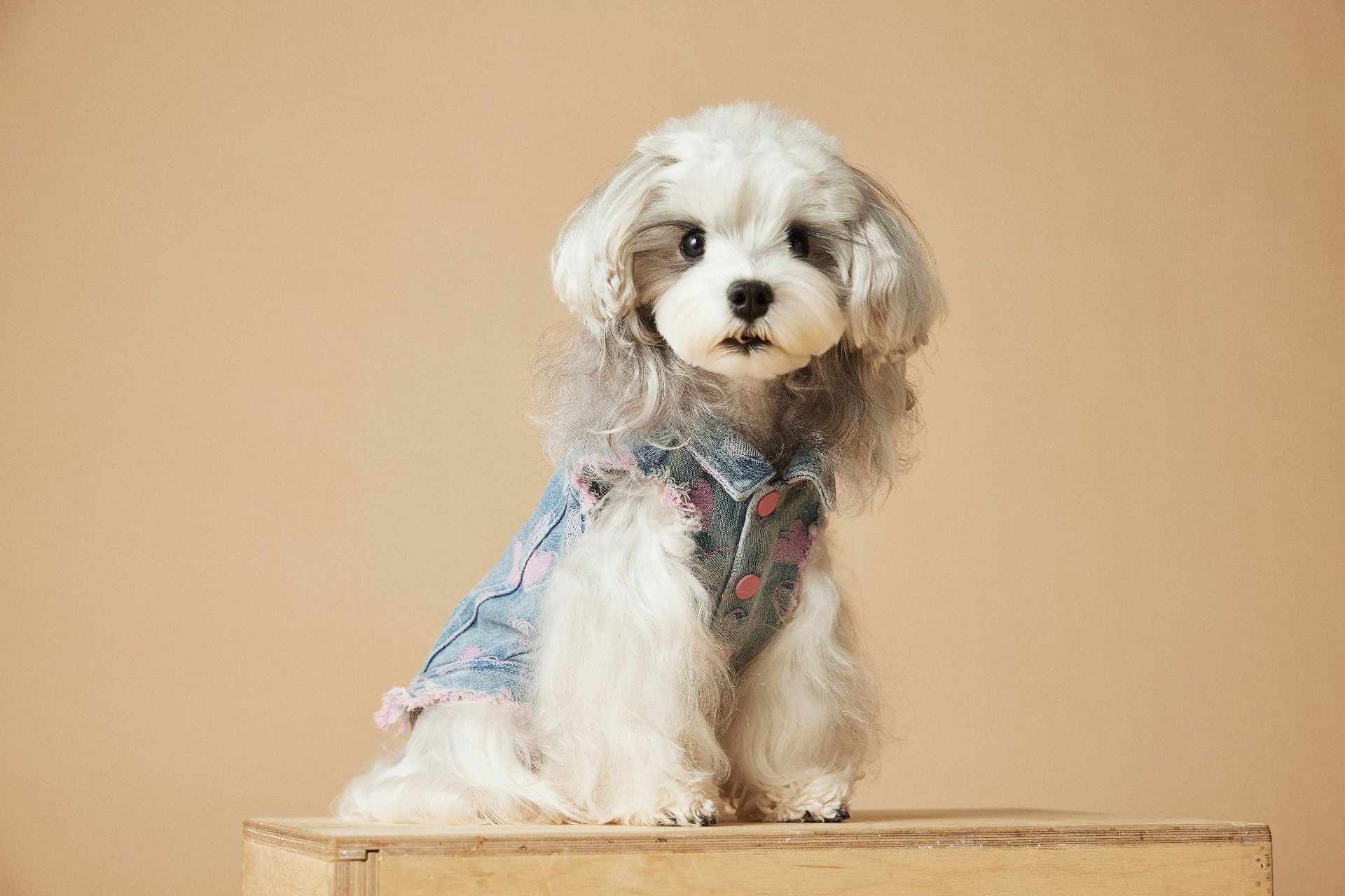 KFX-5984829 Denim Sleeveless Vest for Dogs - Distressed Casual Pet Clothing in Various Sizes