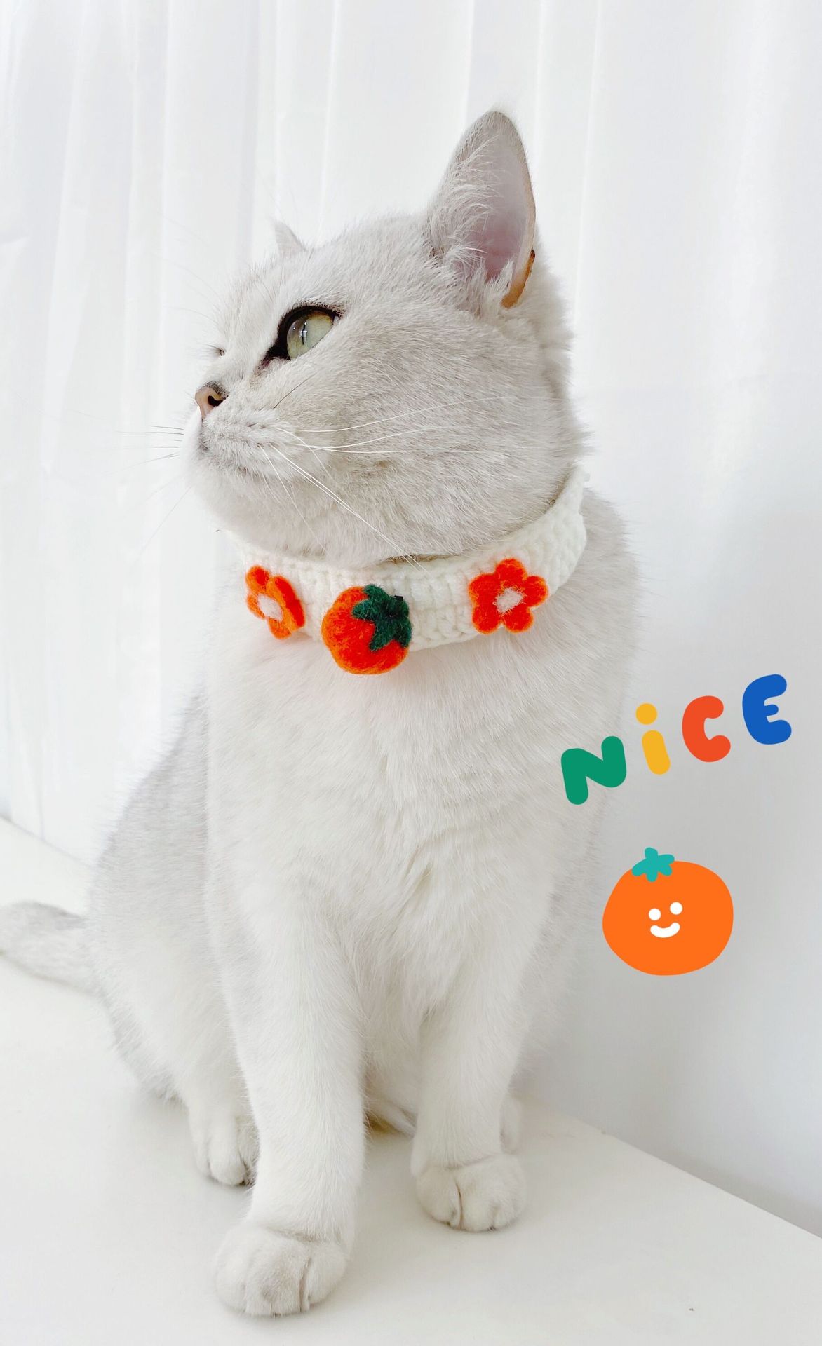 KFX-5988029 Cute Knitted Wool Felt Flower and Fruit Cat Collar in Various Styles for All Seasons