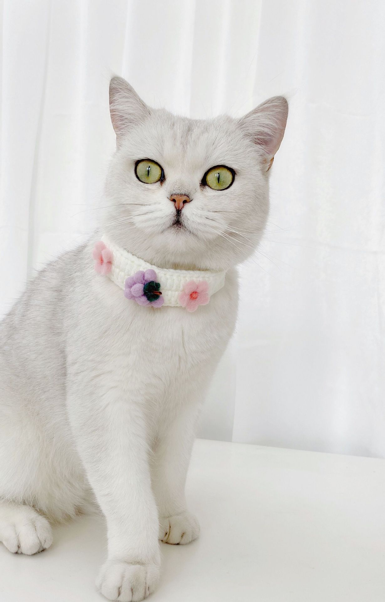 KFX-5988029 Cute Knitted Wool Felt Flower and Fruit Cat Collar in Various Styles for All Seasons