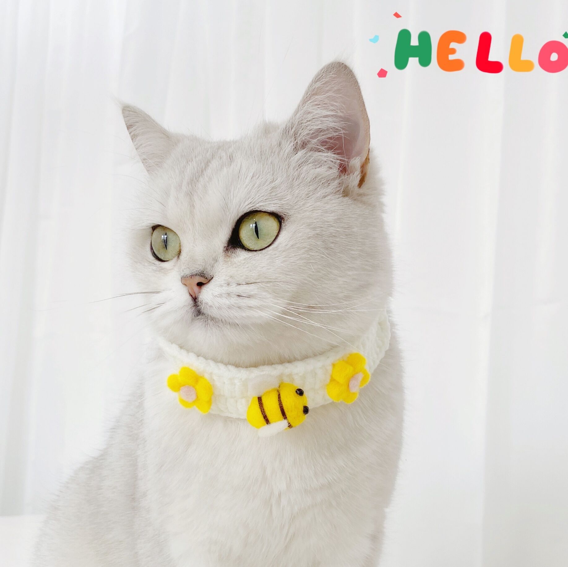KFX-5988029 Cute Knitted Wool Felt Flower and Fruit Cat Collar in Various Styles for All Seasons