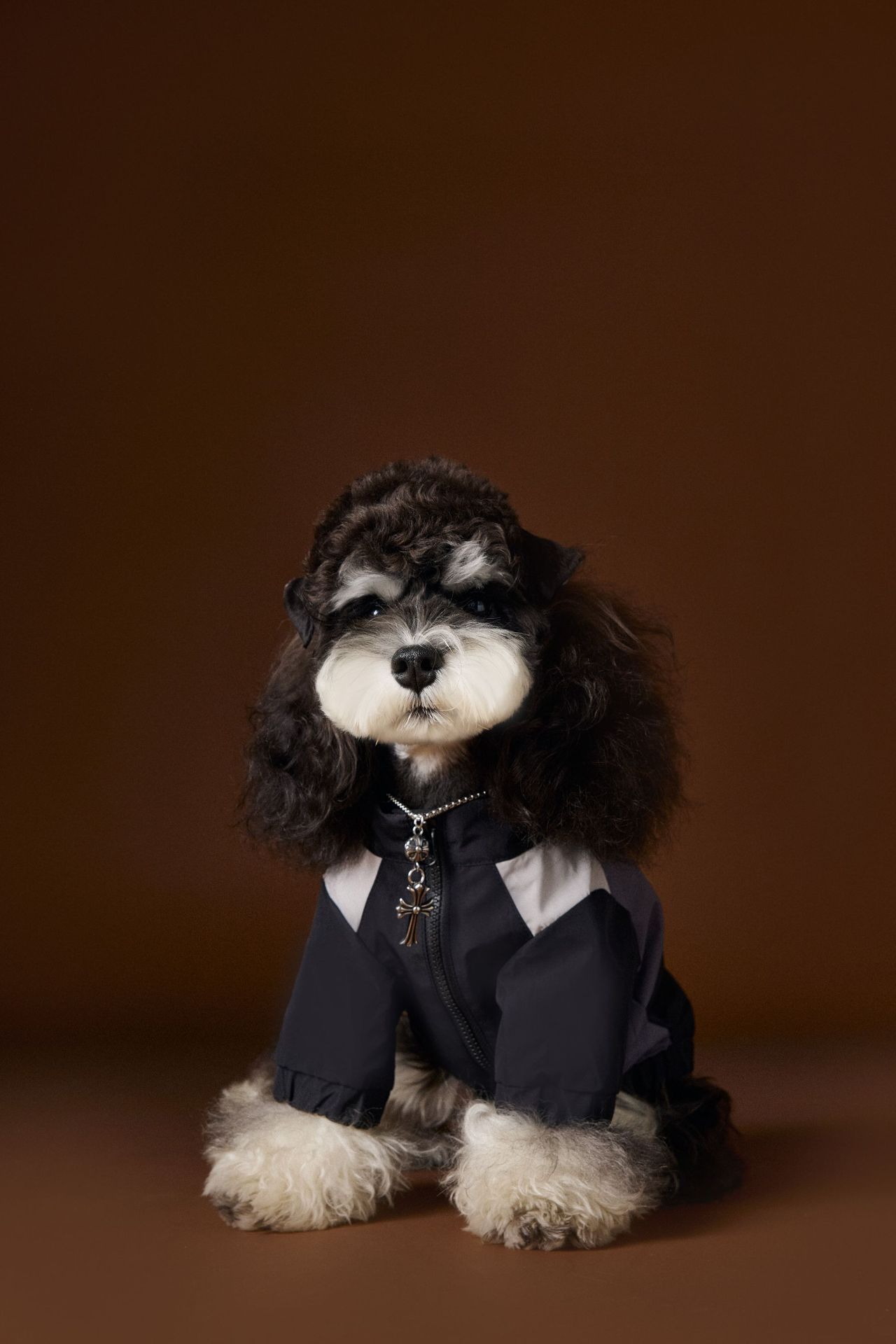 KFX-5990589 Stylish Casual Sportswear for Male Dogs - Autumn Collection in Various Sizes