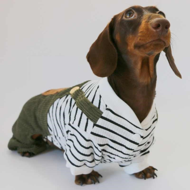 KFX-5997373 Casual Thin Corduroy Four-Legged Pet Pants for Small Dogs - Green Black and White Stripes