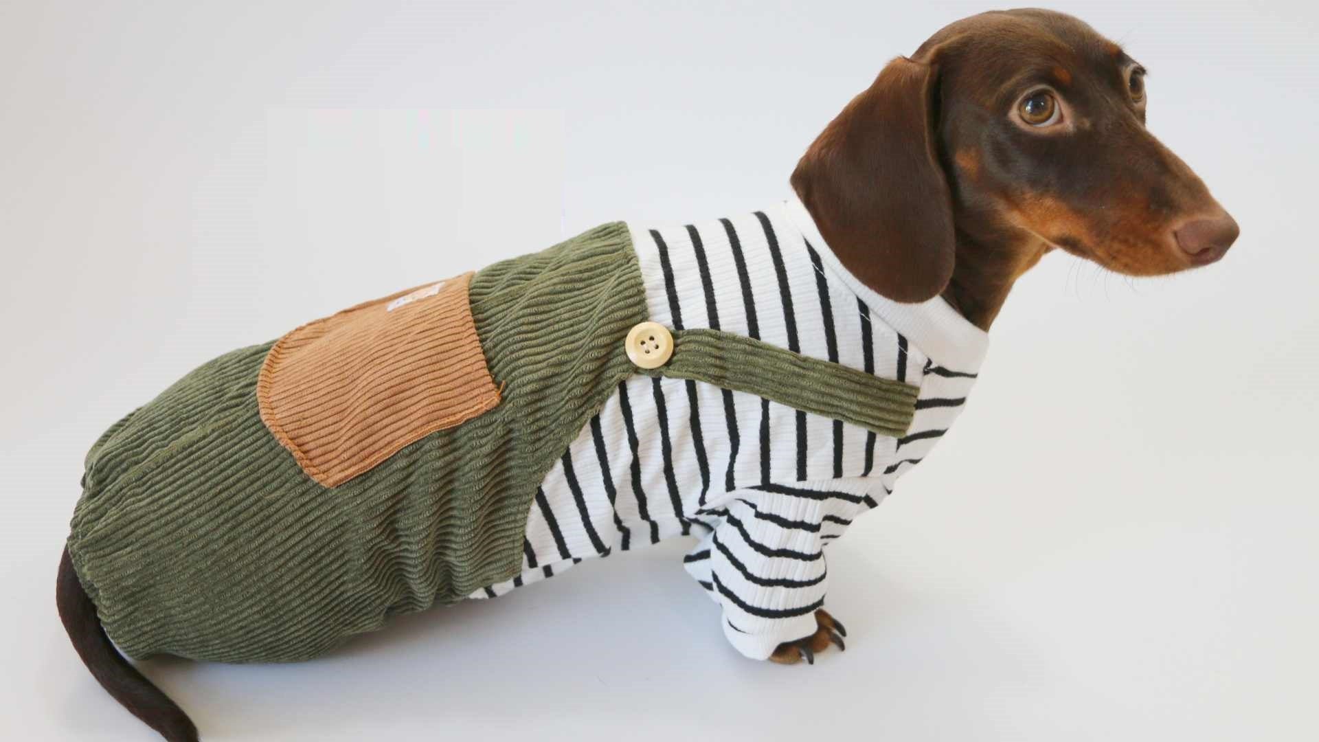 KFX-5997373 Casual Thin Corduroy Four-Legged Pet Pants for Small Dogs - Green Black and White Stripes