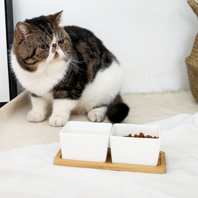KFX-6003517 Ceramic Pet Rice Bowl with Bamboo Stand for Cats and Dogs - 300ml Capacity