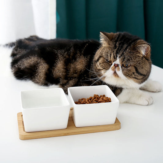 KFX-6003517 Ceramic Pet Rice Bowl with Bamboo Stand for Cats and Dogs - 300ml Capacity