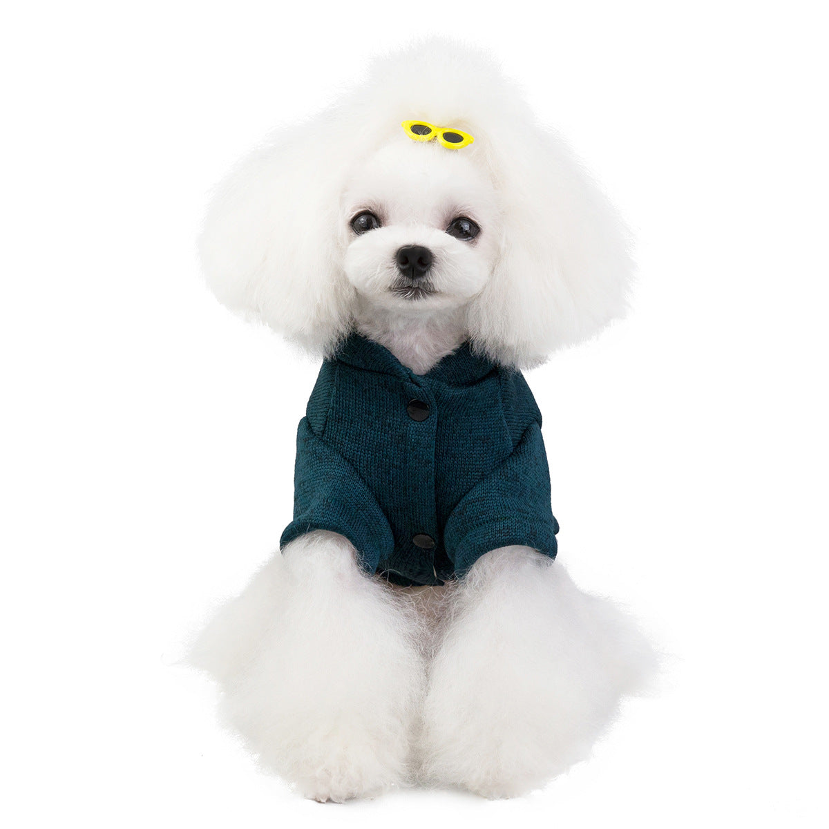 KFX-6017213 Casual Knit Sweatshirt for Pets in Green, Wine Red, and Blue - Various Sizes Available