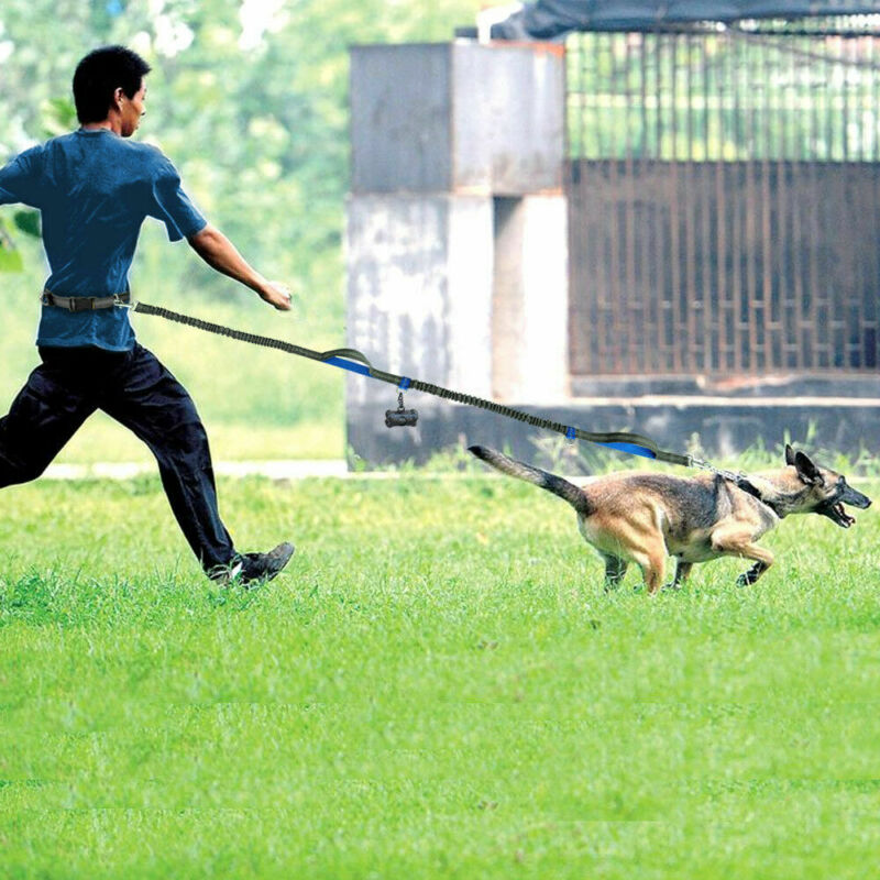 KFX-6018621 Reflective Elastic Dog Leash with Adjustable Belt and Pocket for Hands-Free Control