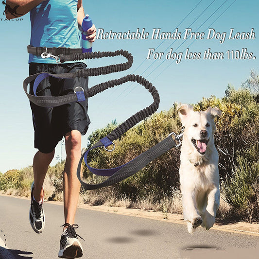 KFX-6018621 Reflective Elastic Dog Leash with Adjustable Belt and Pocket for Hands-Free Control