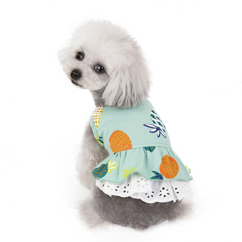 KFX-6021181 Spring & Summer Coral Velvet Dog Skirt for Female Puppies