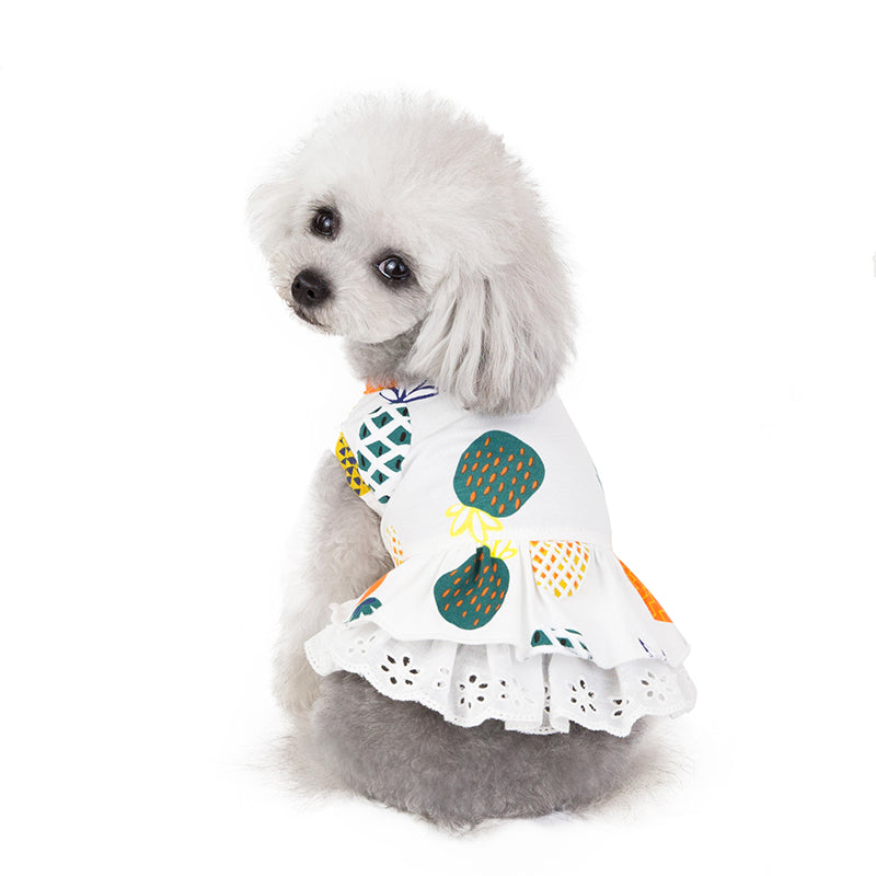 KFX-6021181 Spring & Summer Coral Velvet Dog Skirt for Female Puppies