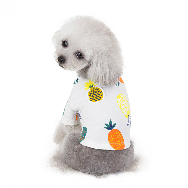 KFX-6021181 Spring & Summer Coral Velvet Dog Skirt for Female Puppies