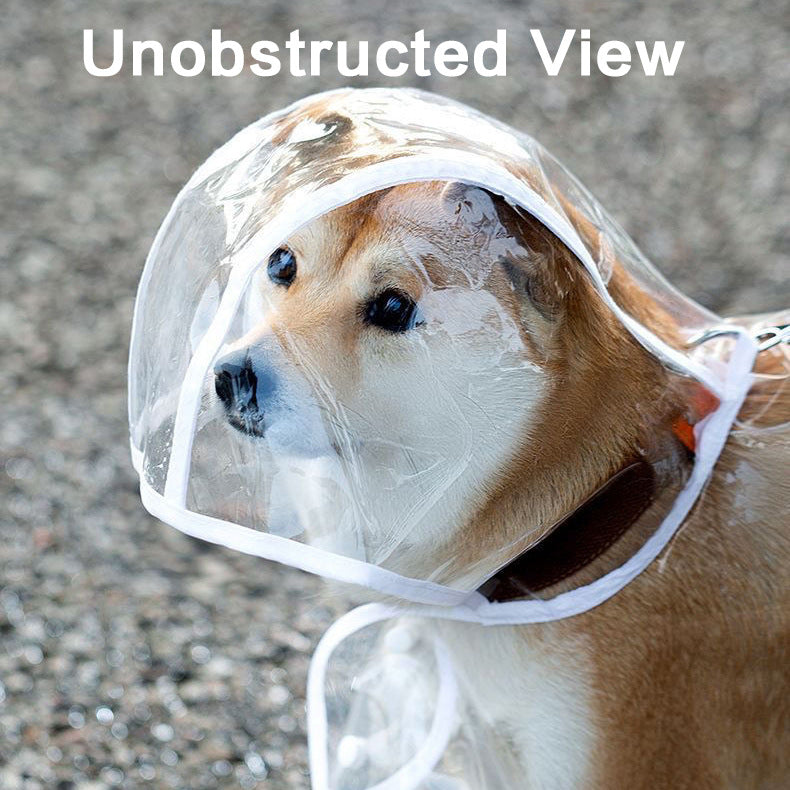 KFX-6024381 Transparent Pet Raincoat with White Edging - Lightweight EVA Material for Dogs in Multiple Sizes