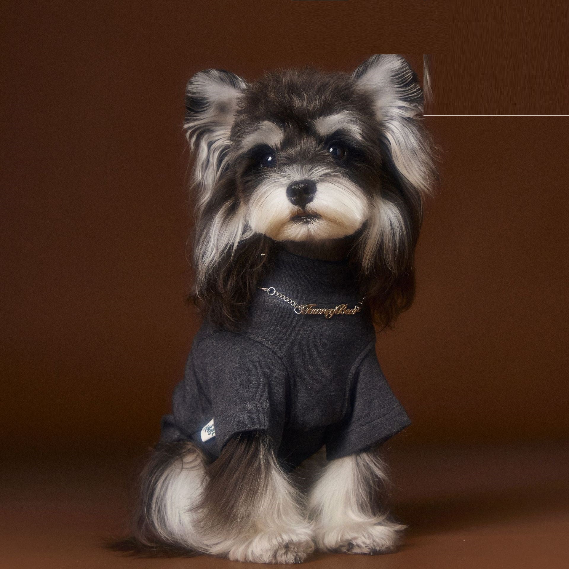 KFX-6030141 Handsome Teddy Schnauzer Bear Solid Color Bottom Shirt with Necklace for Pets