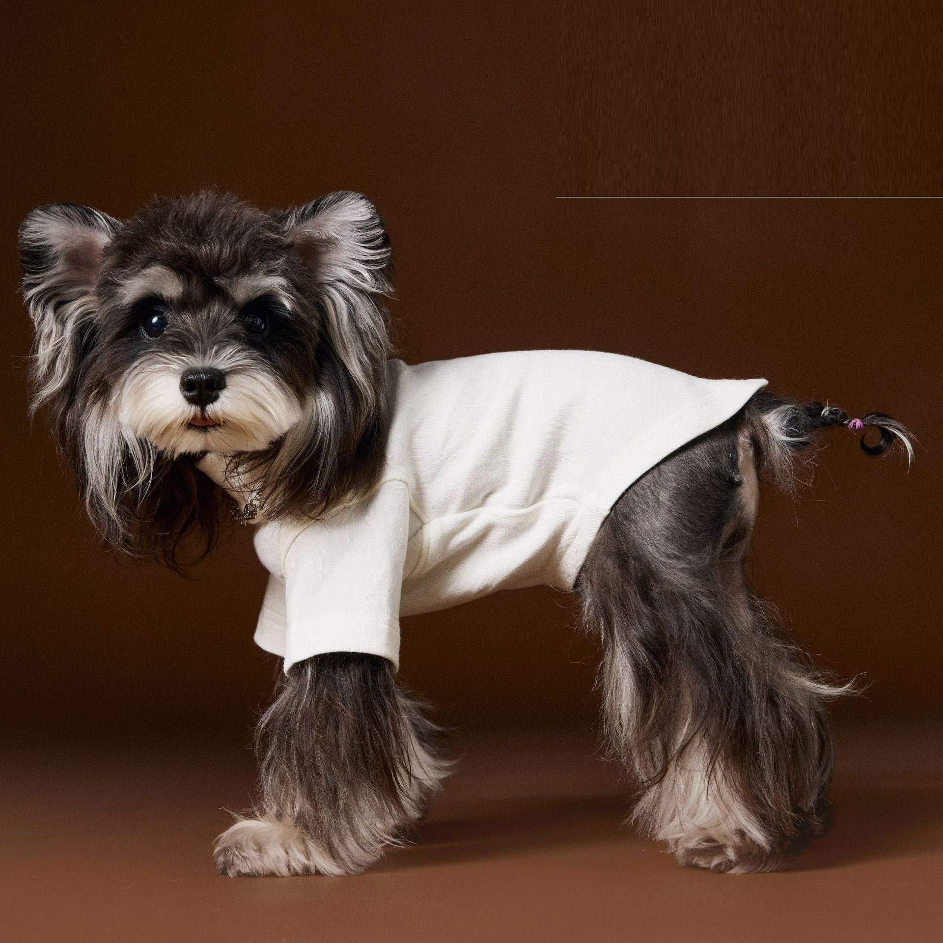 KFX-6030141 Handsome Teddy Schnauzer Bear Solid Color Bottom Shirt with Necklace for Pets