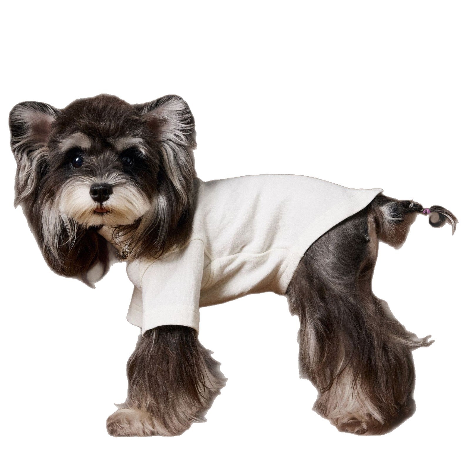 KFX-6030141 Handsome Teddy Schnauzer Bear Solid Color Bottom Shirt with Necklace for Pets