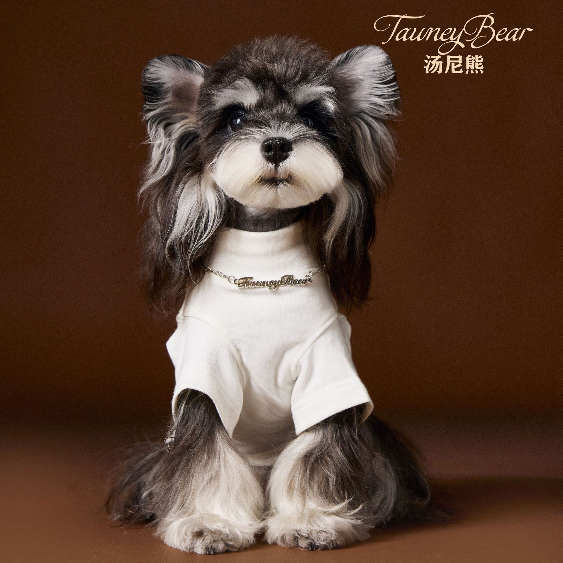 KFX-6030141 Handsome Teddy Schnauzer Bear Solid Color Bottom Shirt with Necklace for Pets