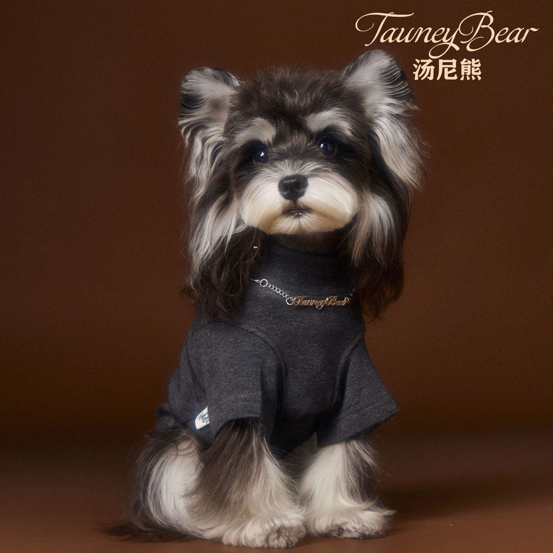 KFX-6030141 Handsome Teddy Schnauzer Bear Solid Color Bottom Shirt with Necklace for Pets