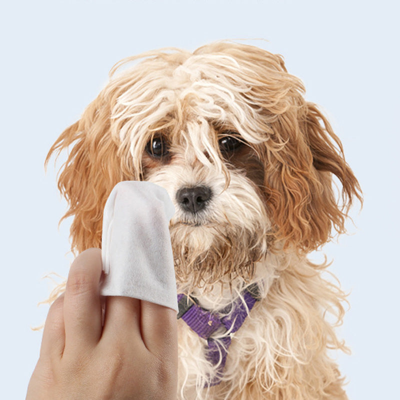 KFX-6032189 Gentle Pet Deodorant Wipes for Cleaning Feet, Mouth, Ears, and More - 80 Count