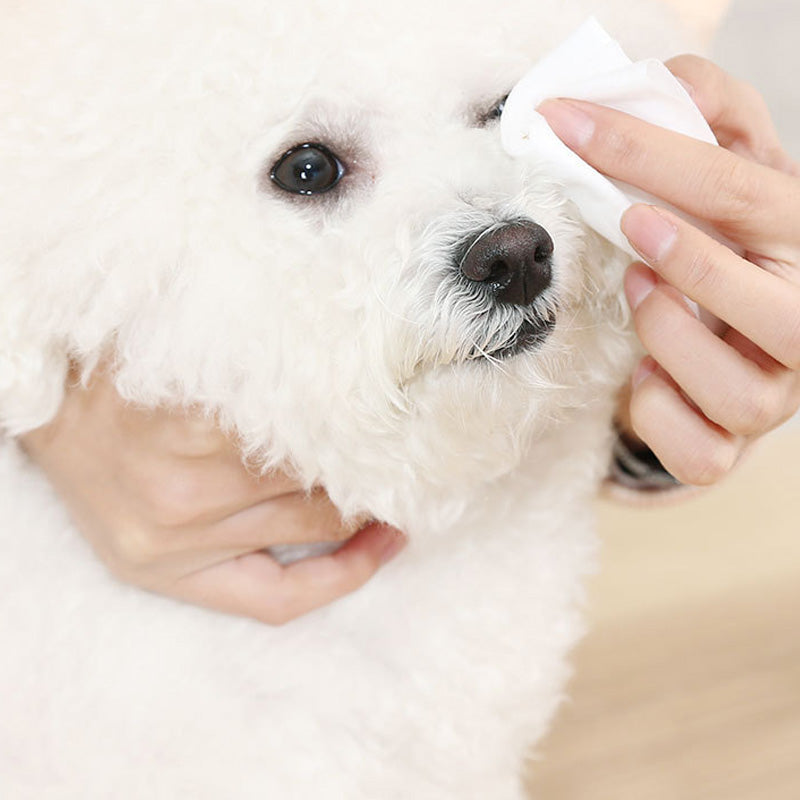 KFX-6032189 Gentle Pet Deodorant Wipes for Cleaning Feet, Mouth, Ears, and More - 80 Count