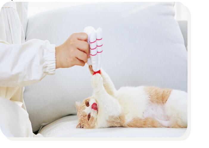 KFX-6032957 Cat Sushi Toy with Catnip, Bite-Resistant Soft Velvet - Sweet Shrimp & Tamago Styles