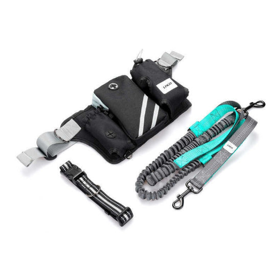 KFX-6039869 Waterproof Outdoor Pet Training Waist Bag with Adjustable Leash and Collar Set