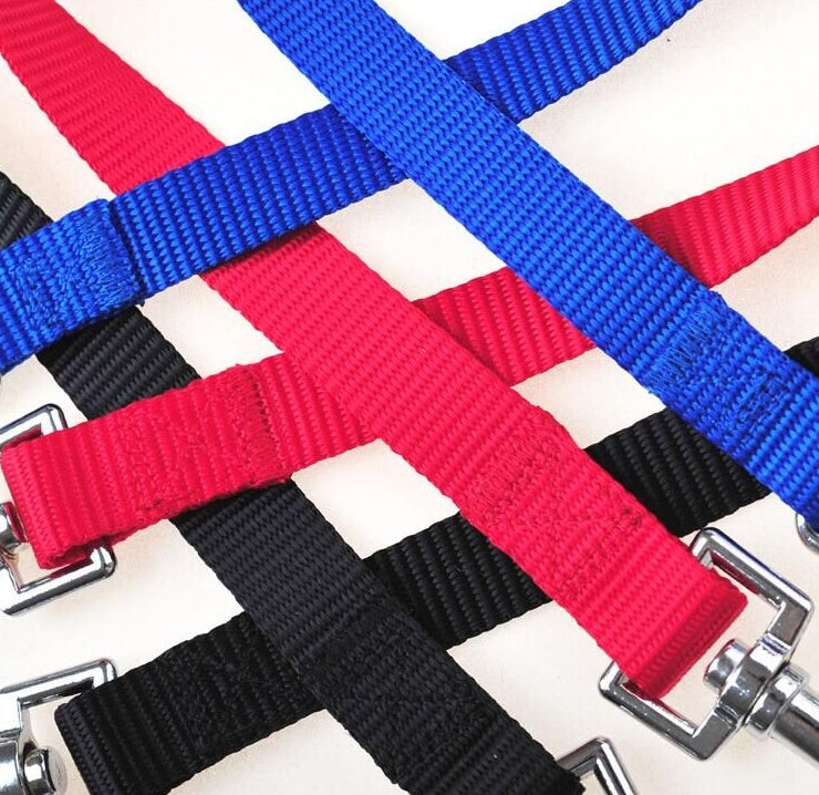 KFX-6045629 Double Dog Walking Leash Coupler - Nylon, Adjustable Lengths in Purple, Red, Blue, Black
