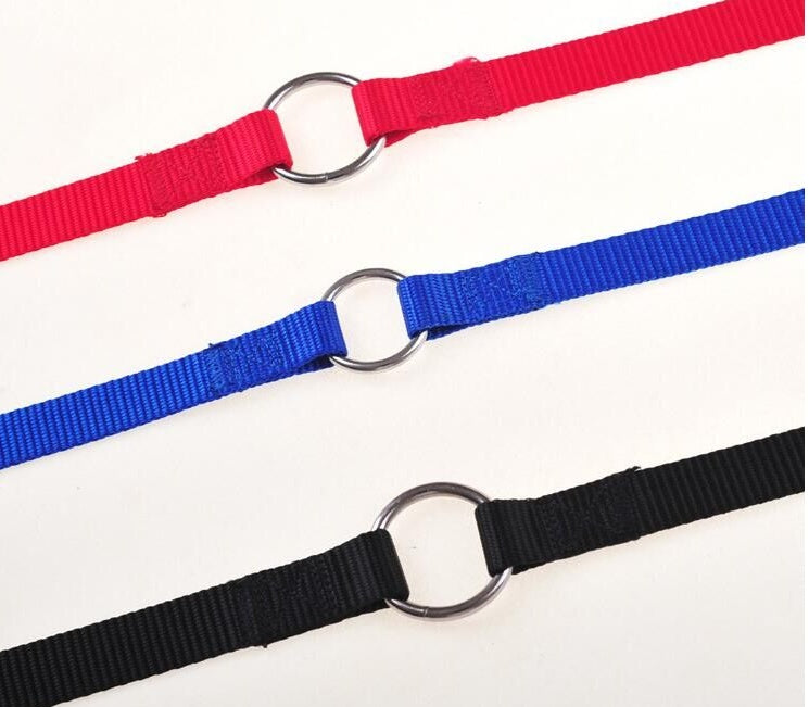 KFX-6045629 Double Dog Walking Leash Coupler - Nylon, Adjustable Lengths in Purple, Red, Blue, Black