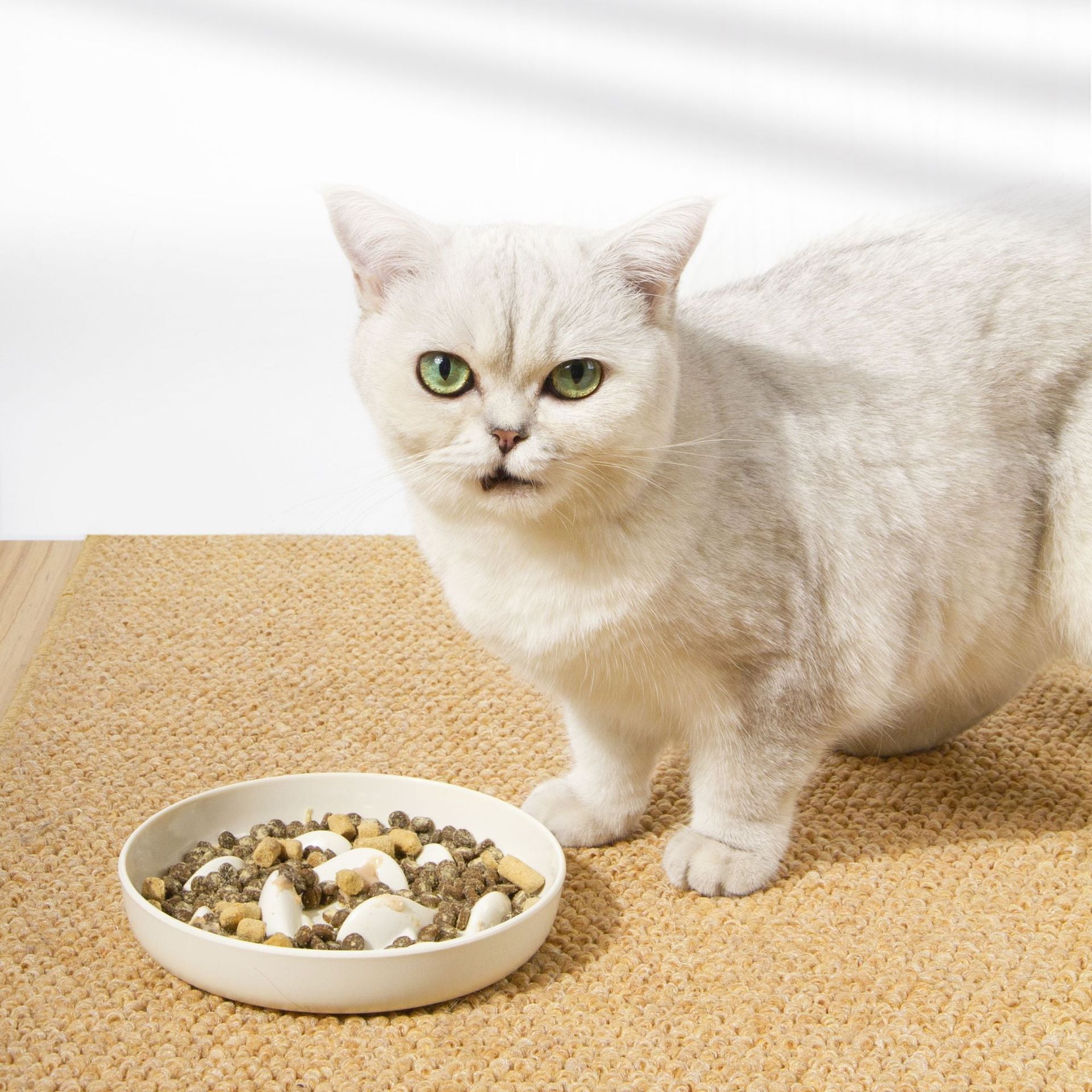 KFX-6055357 Slow Feeding Bowl for Cats and Dogs in Various Colors and Sizes