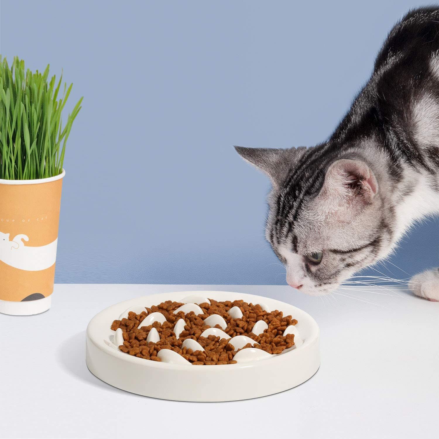 KFX-6055357 Slow Feeding Bowl for Cats and Dogs in Various Colors and Sizes