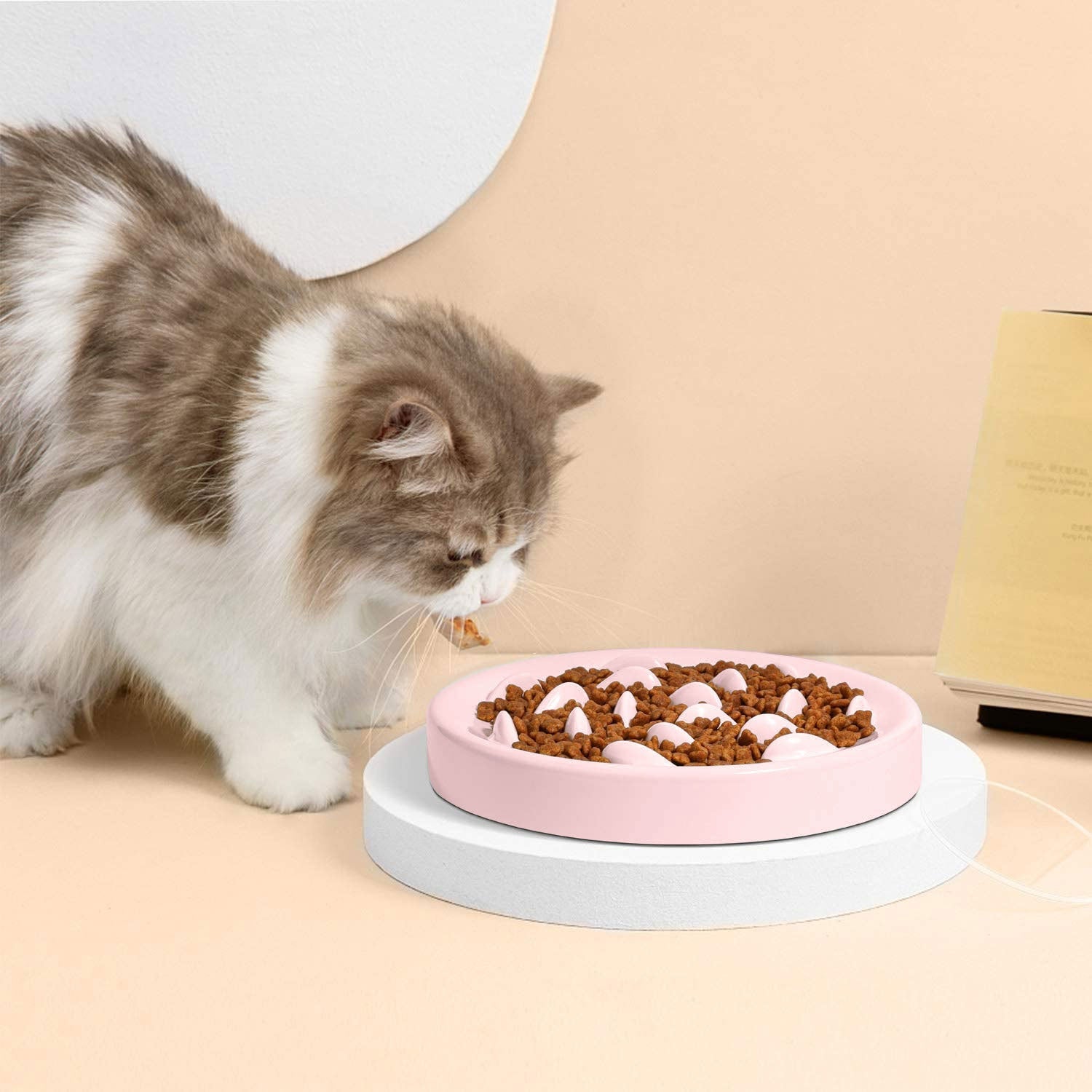 KFX-6055357 Slow Feeding Bowl for Cats and Dogs in Various Colors and Sizes