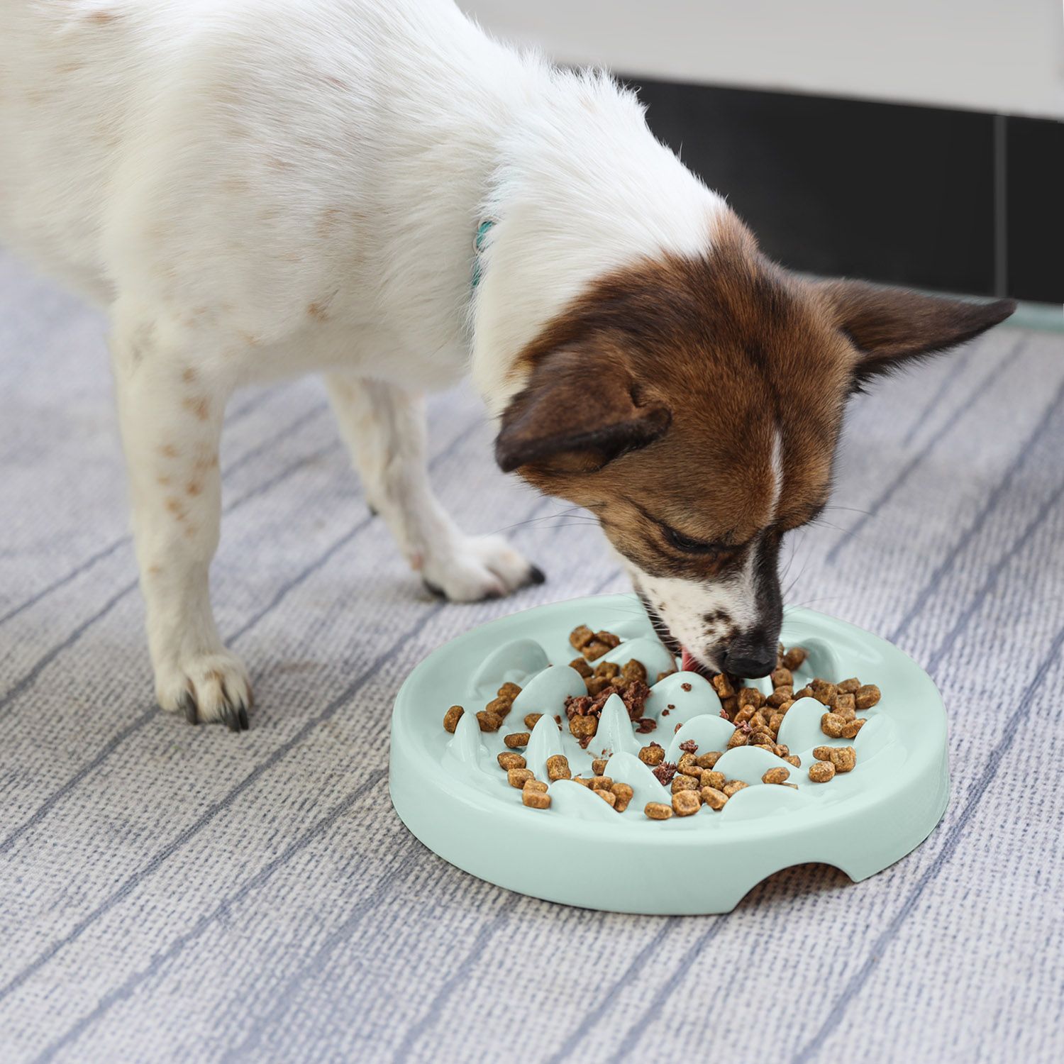 KFX-6055357 Slow Feeding Bowl for Cats and Dogs in Various Colors and Sizes
