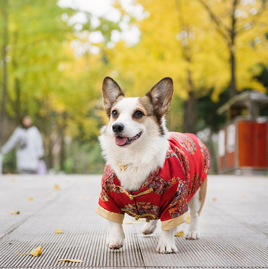 KFX-6065469 Cotton Dog Tang Dress for Celebrating Special Occasions, Sizes 14-22