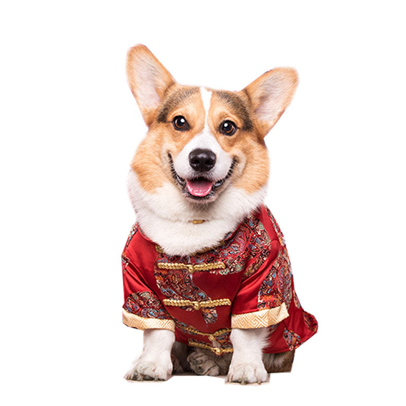 KFX-6065469 Cotton Dog Tang Dress for Celebrating Special Occasions, Sizes 14-22