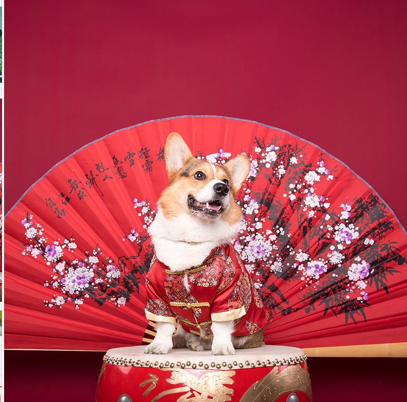 KFX-6065469 Cotton Dog Tang Dress for Celebrating Special Occasions, Sizes 14-22