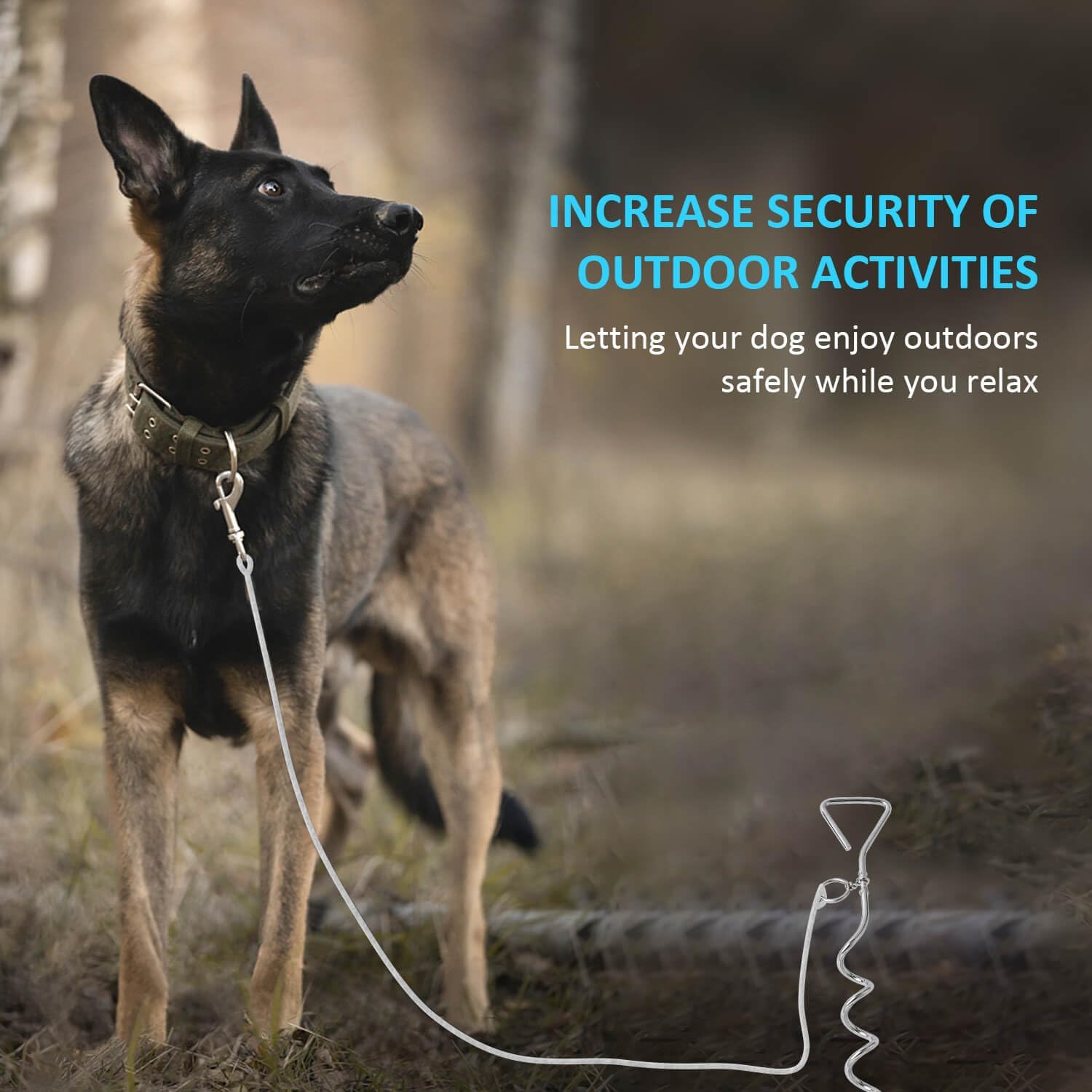KFX-6081853 Durable Spiral Dog Tie-Out Stake for Secure Outdoor Tethering, Easy Installation, Rust Resistant