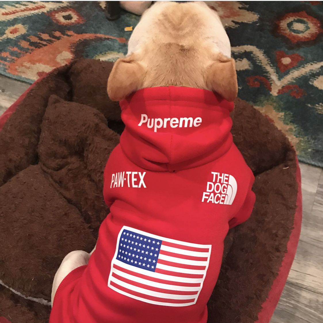 KFX-6082749 Cozy Polyester Sweatshirt for Dogs - Autumn & Winter Season Apparel