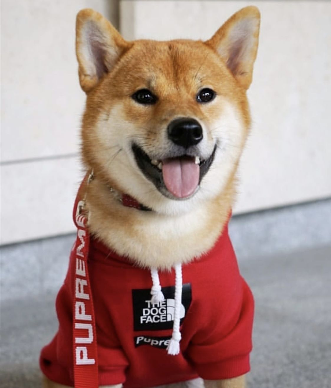 KFX-6082749 Cozy Polyester Sweatshirt for Dogs - Autumn & Winter Season Apparel