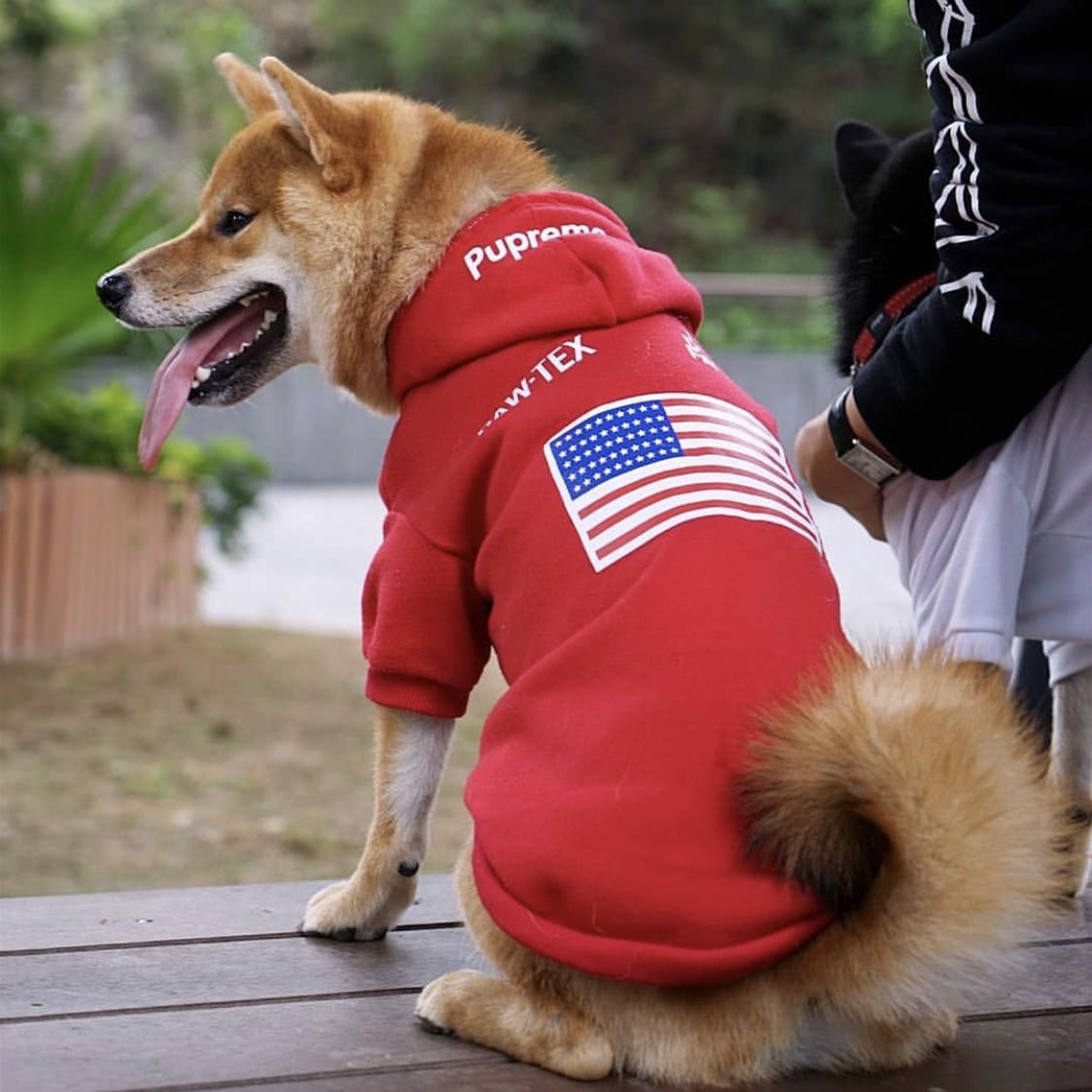 KFX-6082749 Cozy Polyester Sweatshirt for Dogs - Autumn & Winter Season Apparel