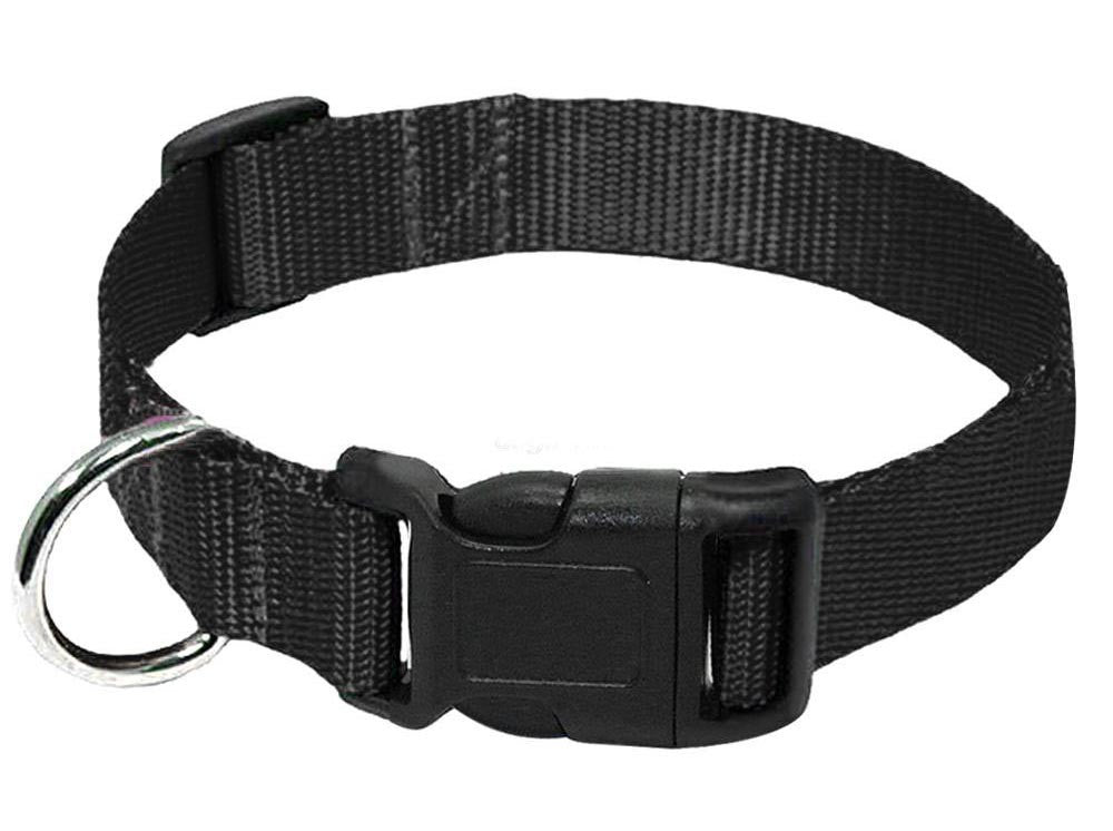 KFX-6084157 Durable Nylon Dog Collar Leash in Blue, Black, Red, and Purple Options