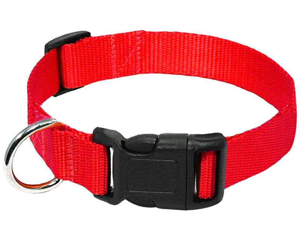 KFX-6084157 Durable Nylon Dog Collar Leash in Blue, Black, Red, and Purple Options